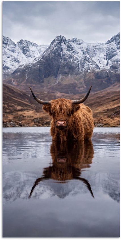 Poster 75x150 cm - Schotse hooglander - Bruin - Water - Posters - Kamer decoratie - Wanddecoratie woonkamer - Muurdecoratie slaapkamer