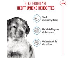 Royal Canin - Hondenvoer Droog Medium Puppy - 1 kg