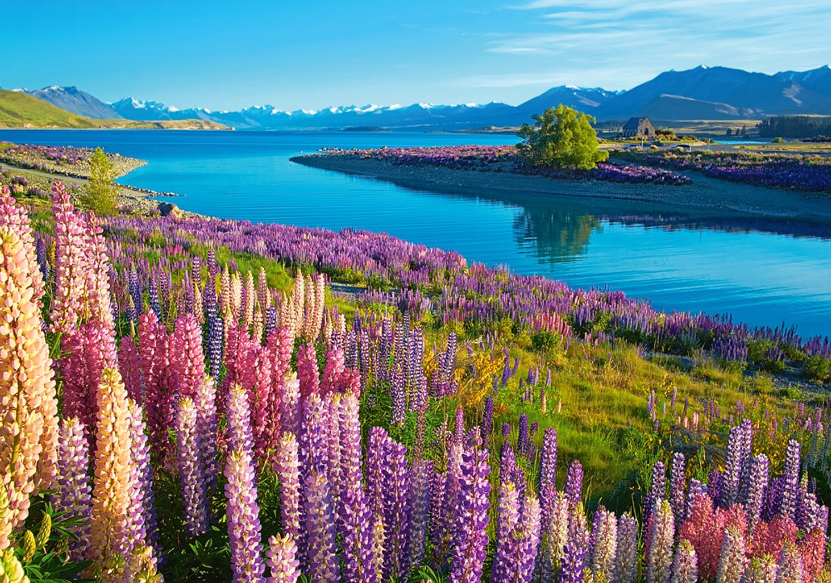 Castorland puzzel Lake Tekapo legpuzzel 500 stukjes New Zealand.
