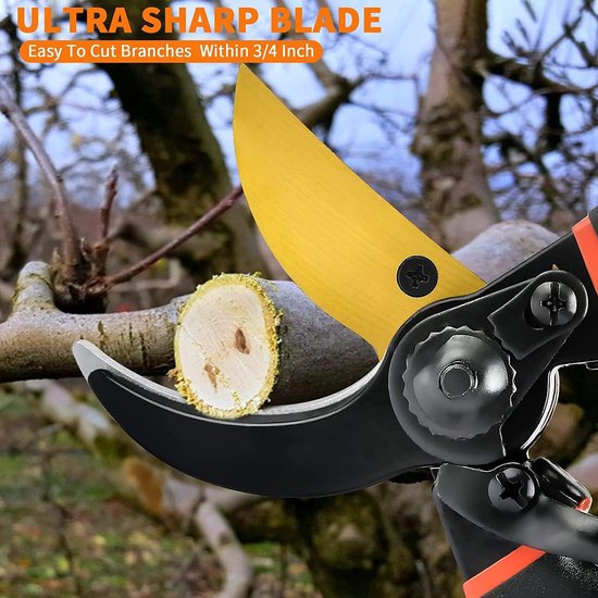 Snoeischaren - Snoeischaar - Tuinschaar - Takkenschaar - Titanium Gecoat Lemmet Van Hoogwaardig Koolstofstaal - Kan Takken Tot 3 Cm Dik Knippen van Merkloos	 — afbeelding 4