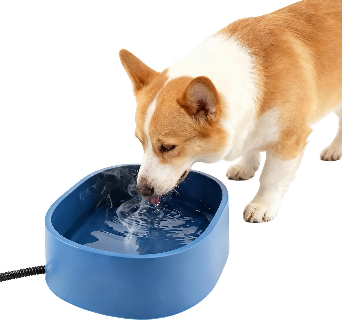 Dreamhigh® Huisdier Verwarmde Waterbak - 3,5 l Grote Verwarmde Vorstbestendige Drinkbak-Temperatuurregeling 25-35°C-BPA-vrij-2 m Anti-Bite Kabel-voor Katten - Kippen en Konijnen in de Winter