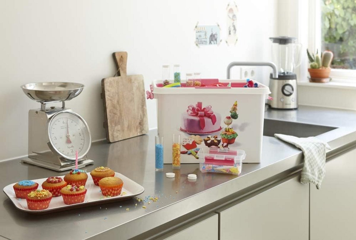 Opslagbox met Inzet voor 24 Cupcakes en Trendy Kleuren