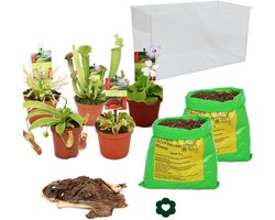 Vleesetende Planten Set Aquarium Zelf Samenstellen