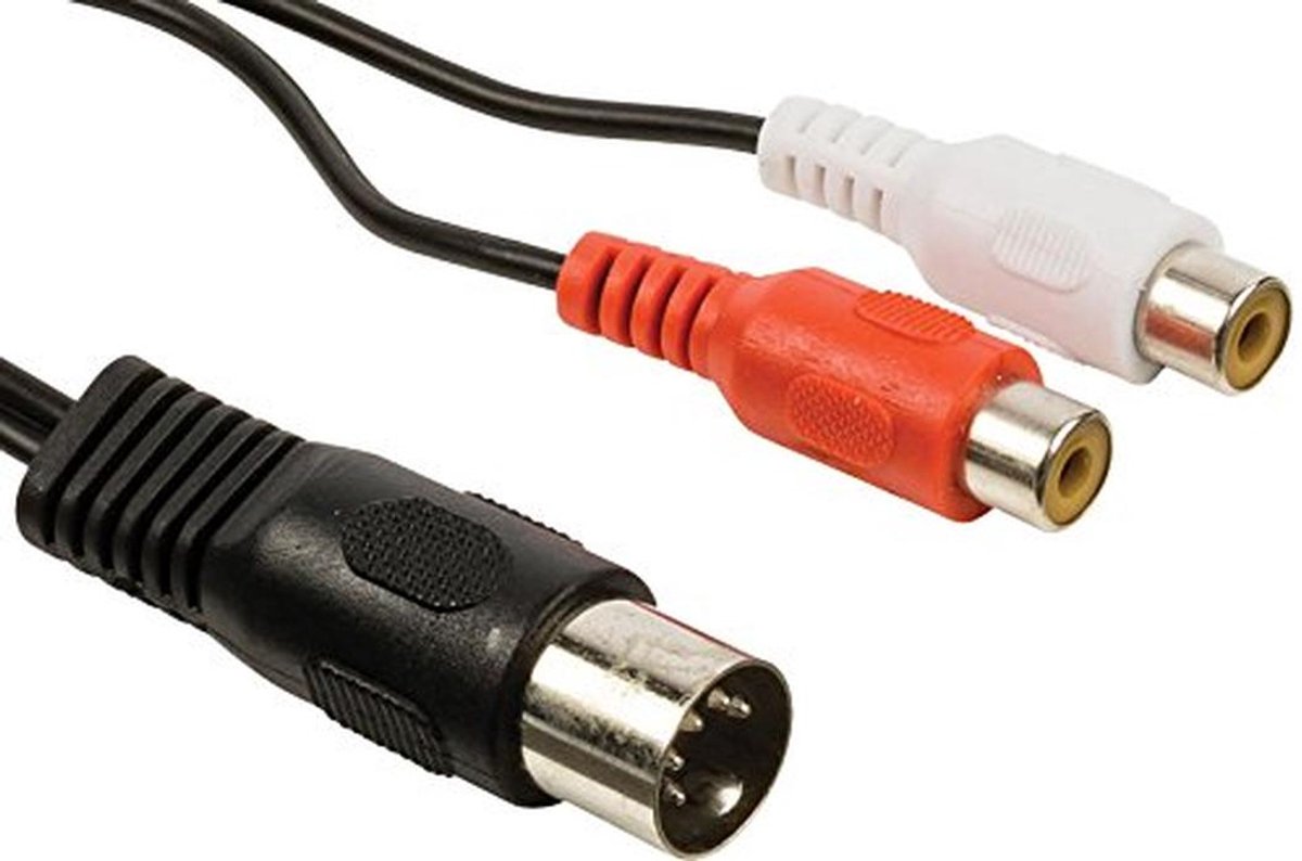 Korte Audio Adapterkabel DIN naar 2x RCA Tulp Verguld