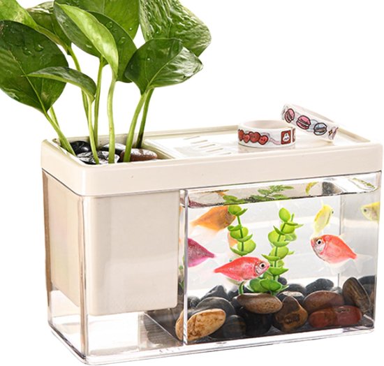 aquarium – Transparant klein | Mini desktop-aquariums Geschikt voor Bettas Slakken, Krabben, Zeesterren Compact thuis en op kantoor