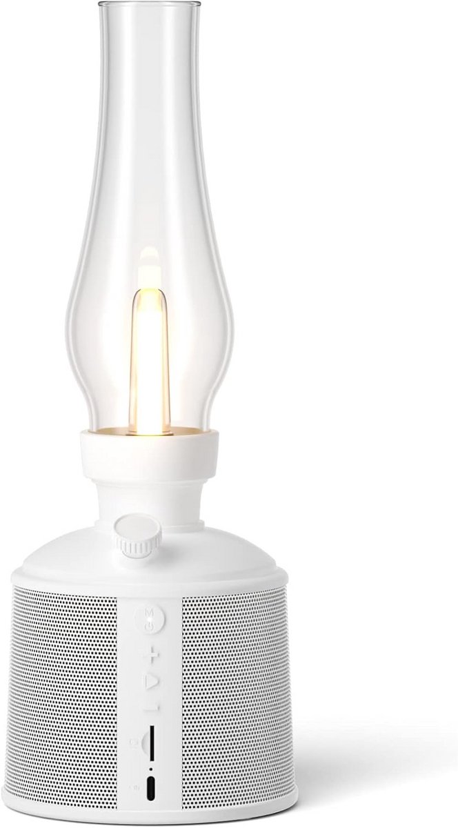 Draagbare Bluetooth Speaker met Dimlicht, Waterdicht en Lange Batterijduur