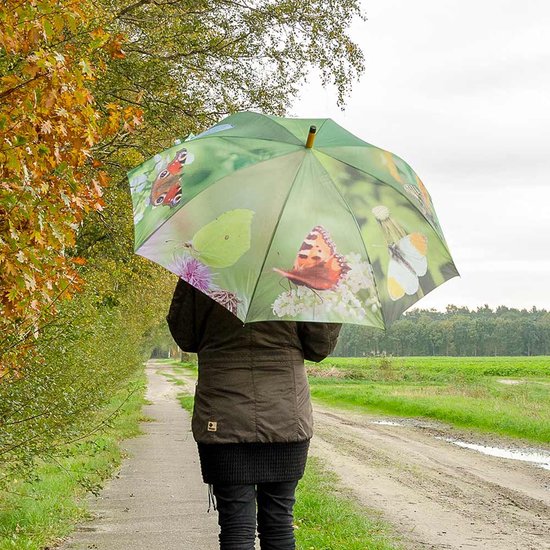 Parapluie vert orné d'imprimés de papillons variés, tenu par une personne, debout sur un chemin de terre en automne.
