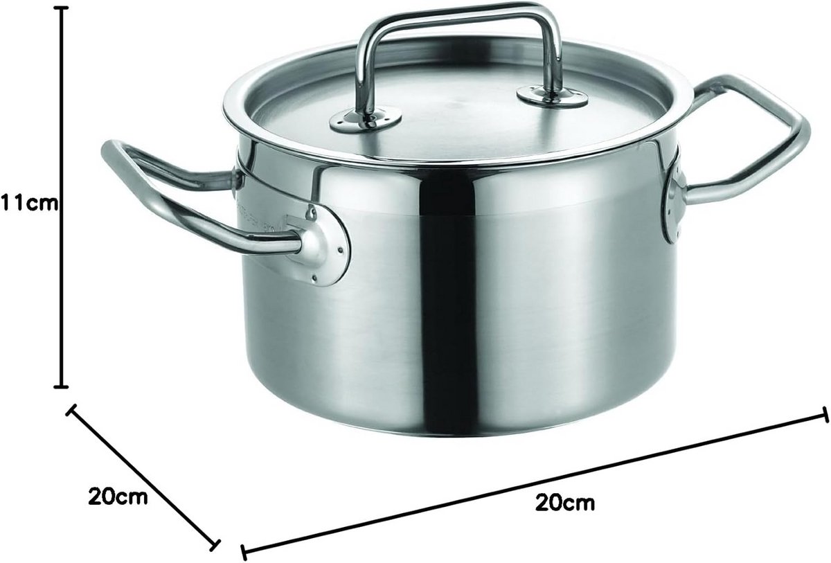 Braadpan met Deksel 20 cm, Roestvrij Staal, Ovenvast, Geschikt voor Inductie