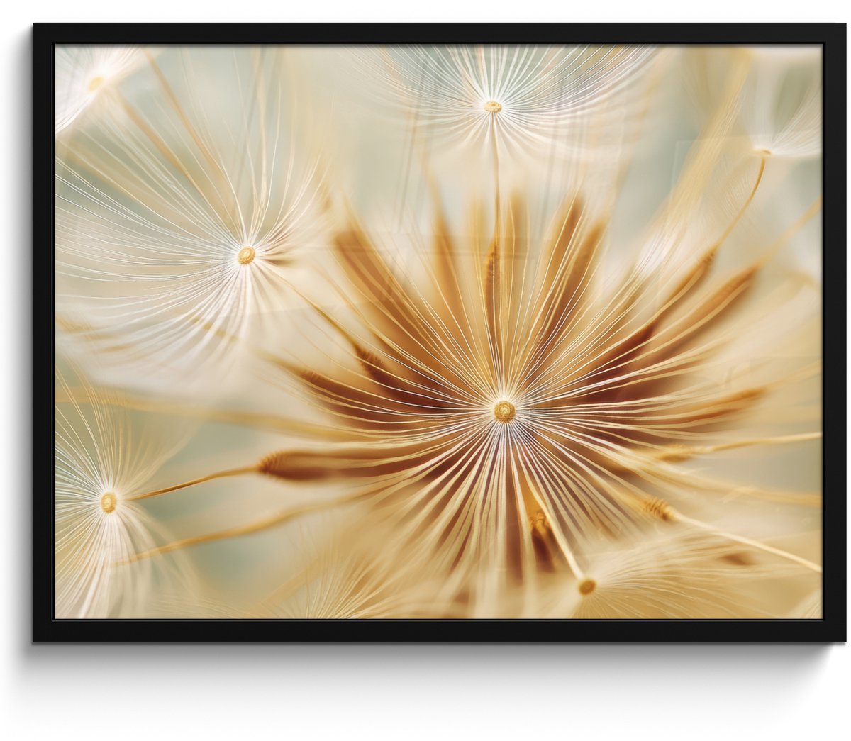 FrameYourWall Poster in lijst - Fotolijst 70x50 cm - Posters - Paardenbloem - Beige - Abstract - Modern - Natuur - Posterlijst zwart - Decoratie - Wanddecoratie woonkamer - Muurdecoratie slaapkamer Paardenbloem - Abstract