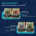 Vier bonsai bomen: een met groene naalden, een met rode bladeren, een met paarse bloemen en een met groene bladeren.