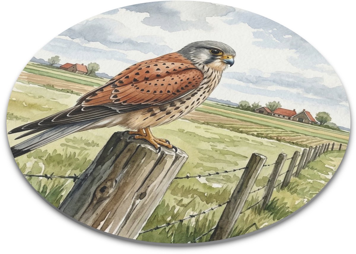 Ronde Muismat Torenvalk Roofvogel op Weidepaal - "Aquarel Series" Natuur Illustratie - Bureau Mat Cadeau voor haar: Vrouw, Vriendin & Collega - Stijlvolle Desktop Decoratie - Mousepad Vogels - Landelijke Boerderij Print - Natuurtekening