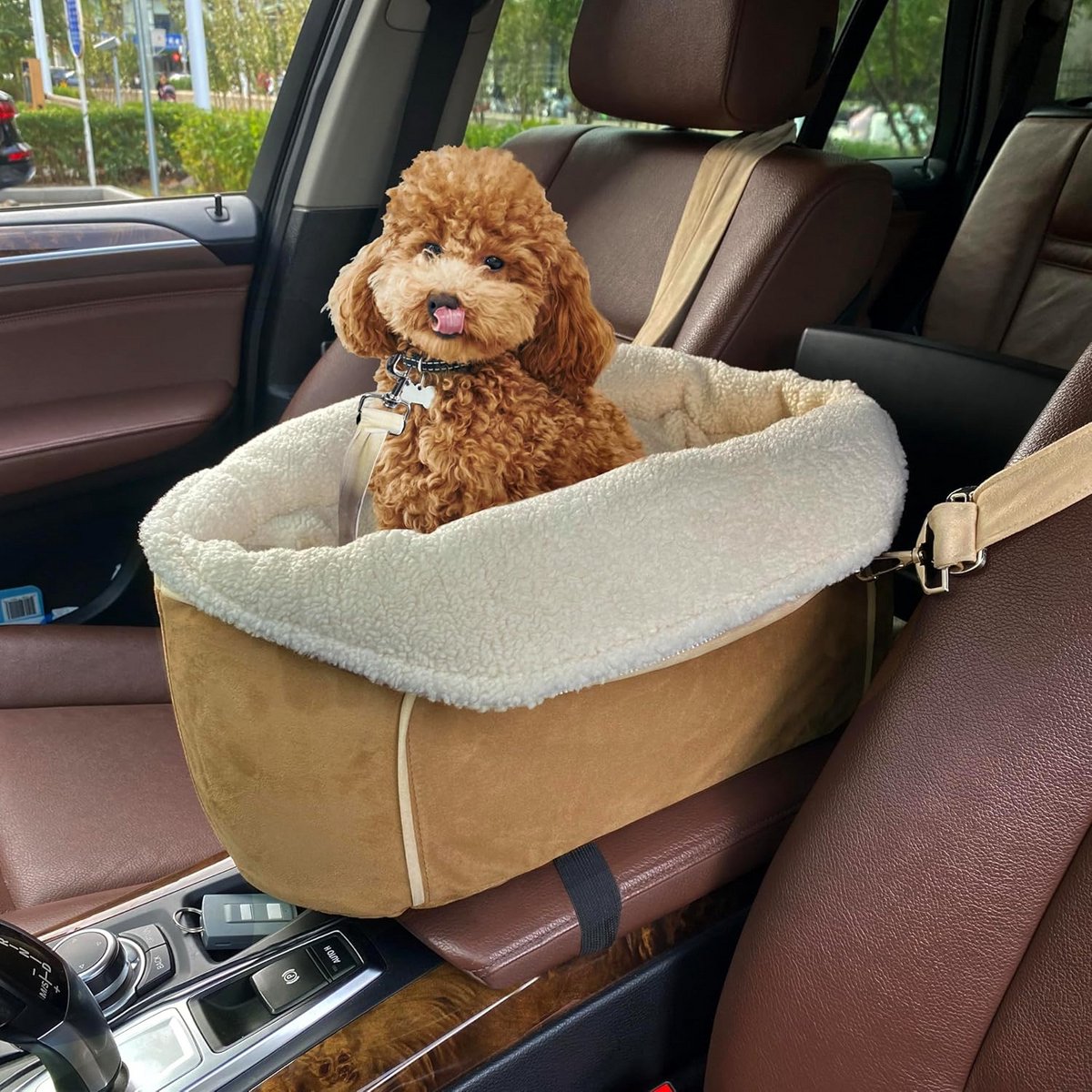 Comfortabele en Veilige Reiszit voor Kleine Hond of Kat in de Auto
