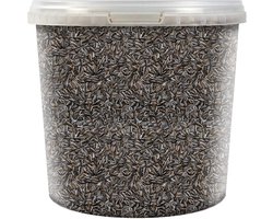 Vogelvoer Zaden - Zonnebloempitten Stripped - Vogels Voeren - Voedzaam en Uitdagend - 1.1 kg