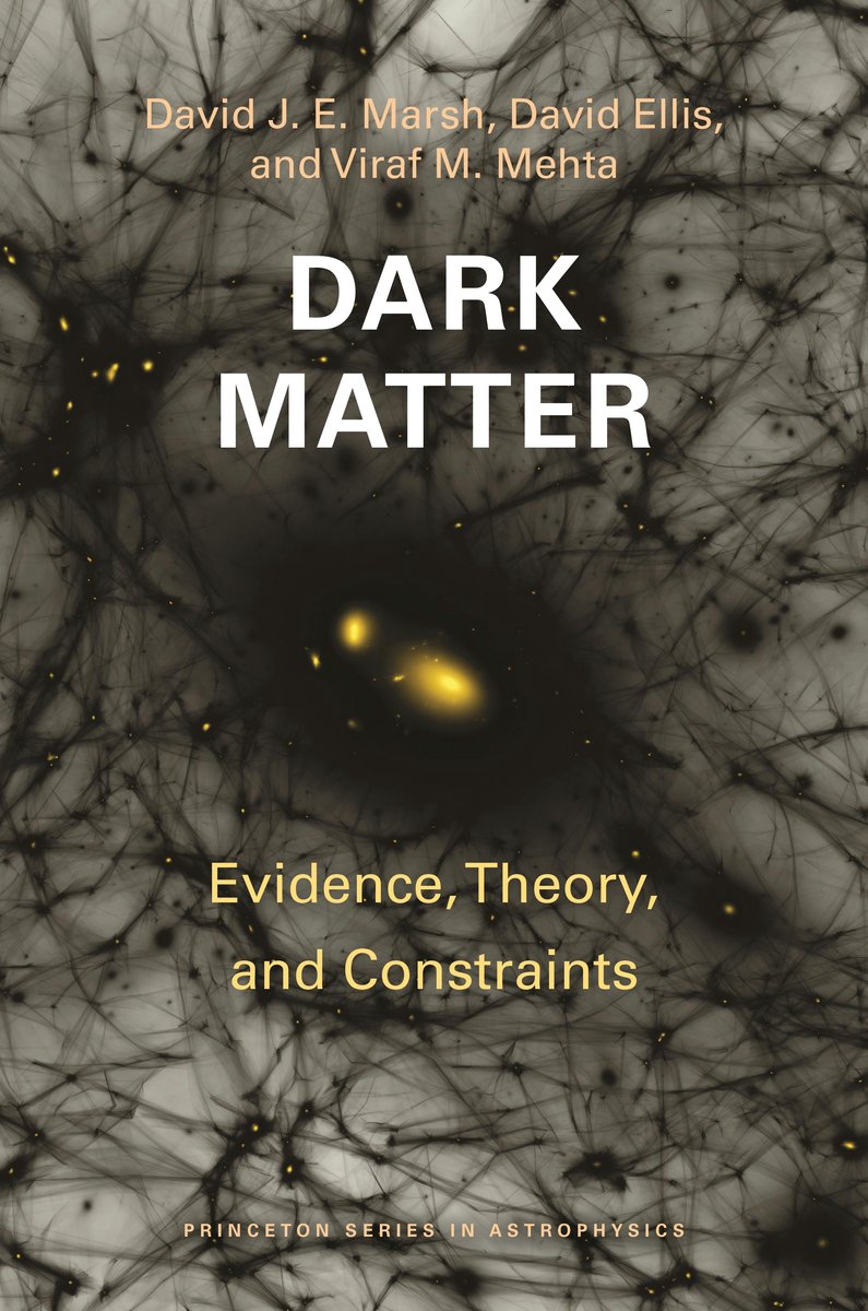 Princeton Series In Astrophysics- Dark Matter