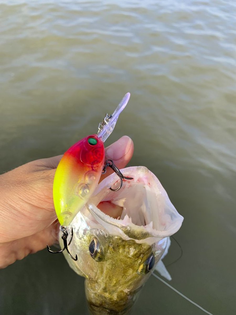 Quantum Q Crank Fat Minnow DR 4cm 6g (diepte 1-3m) - Kleur : Sand Goby