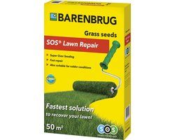Graszaad - Herstelgazon 1 kg - set van 2 stuks - Jaarrond snel herstel van het gazon - Kiemt vanaf 4°C - Makkelijk inzaaien van kale plekken