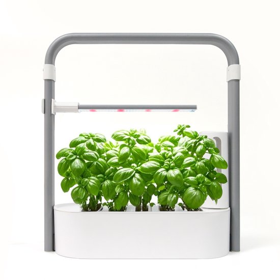 Wit hydrocultuur kweeksysteem met groene basilicumplanten en LED groeilamp.