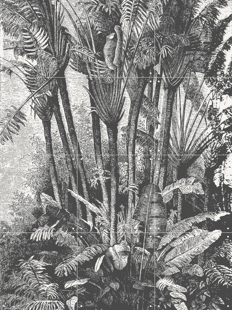 IXXI Palms in Water, Aster Edition - 60 x 80 cm - Gratis ophangtool - Grote wanddecoratie en posters - Naturalisme, Illustraties, Vintage, Houtsnede