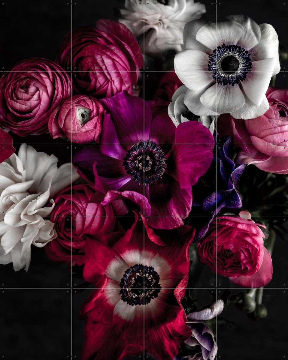 IXXI Dark Flowers, Mareike Böhmer - 80 x 100 cm - Gratis ophangtool - Grote wanddecoratie en posters - Fotografie, Eetkamer, Woonkamer, Slaapkamer