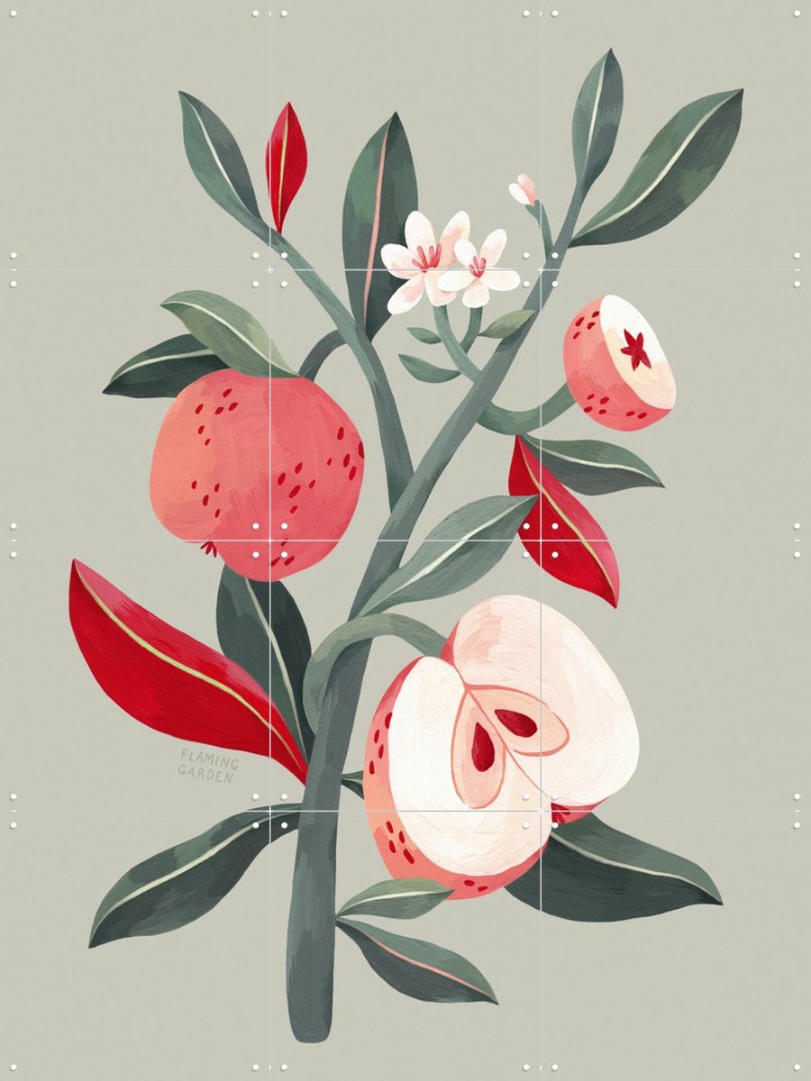 IXXI Apple Tree, Flaming Garden - 60 x 80 cm - Gratis ophangtool - Grote wanddecoratie en posters - Illustraties, Botanisch, Eten & Drinken, Natuur