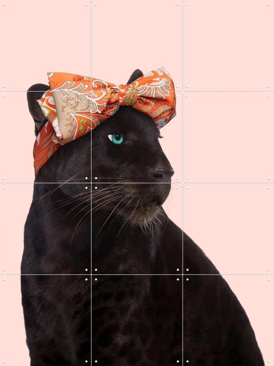 IXXI Fashion Panther, Paul Fuentes - 60 x 80 cm - Gratis ophangtool - Grote wanddecoratie en posters - Kleurrijk, Fotografie, Kinderkamer, Wilde