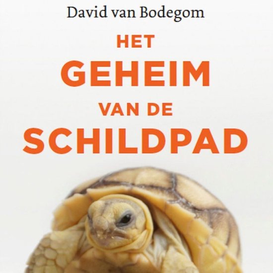 Het geheim van de schildpad - cover