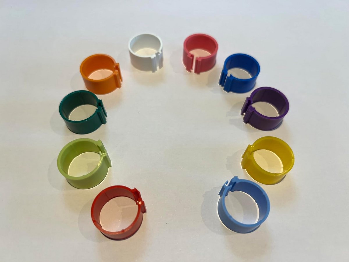 Herbruikbare Clip-on Beenringen voor Kippen en Gevogelte - 25 x 16 mm