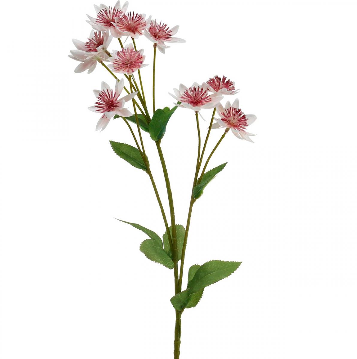 Viana Grote Masterwort Kunstmatige Astrania Zijde Bloem Wit Roze L61cm