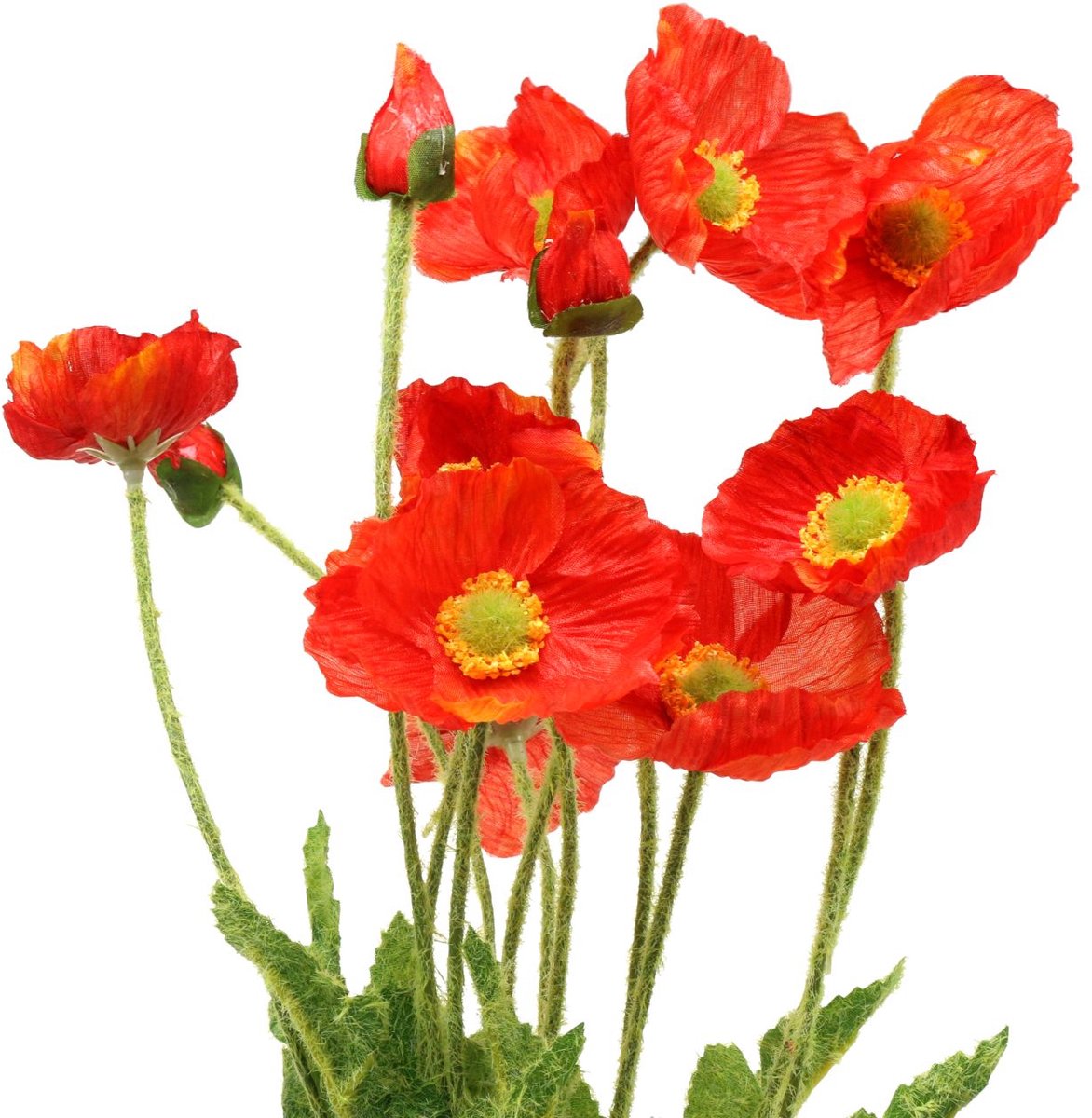 Klaproos oranje 60cm 3st