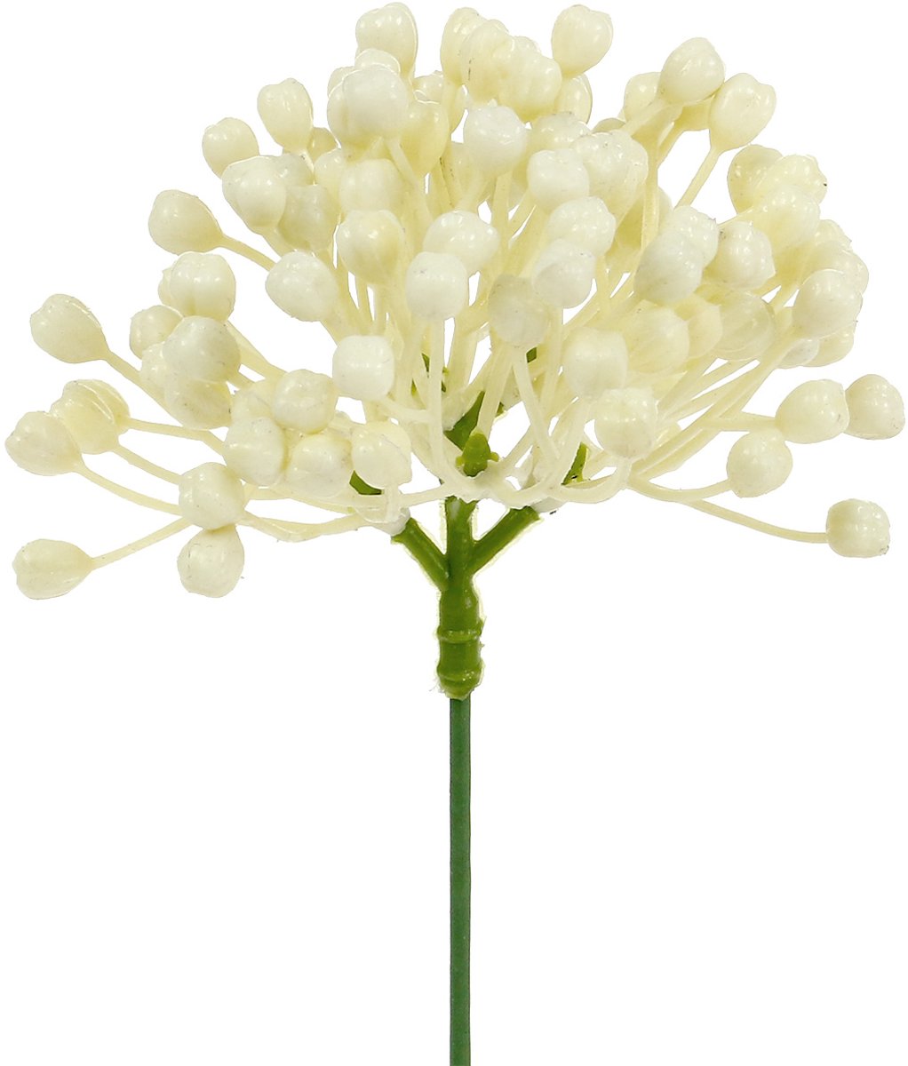 Viana Hortensia knopstoker 22cm crème 12st Beige