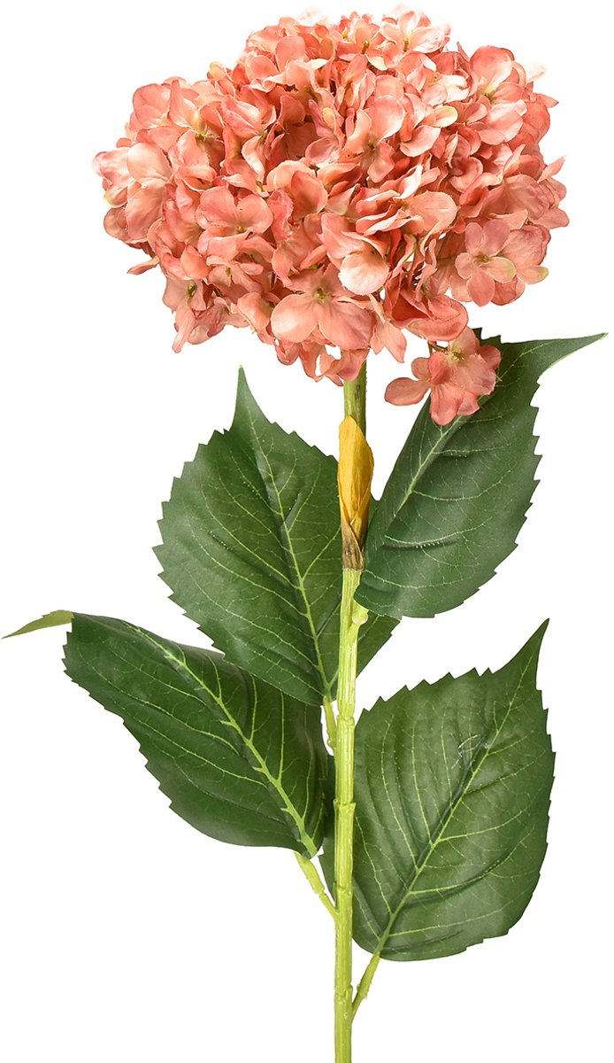 Viana Hortensia Roze 80cm 1 st