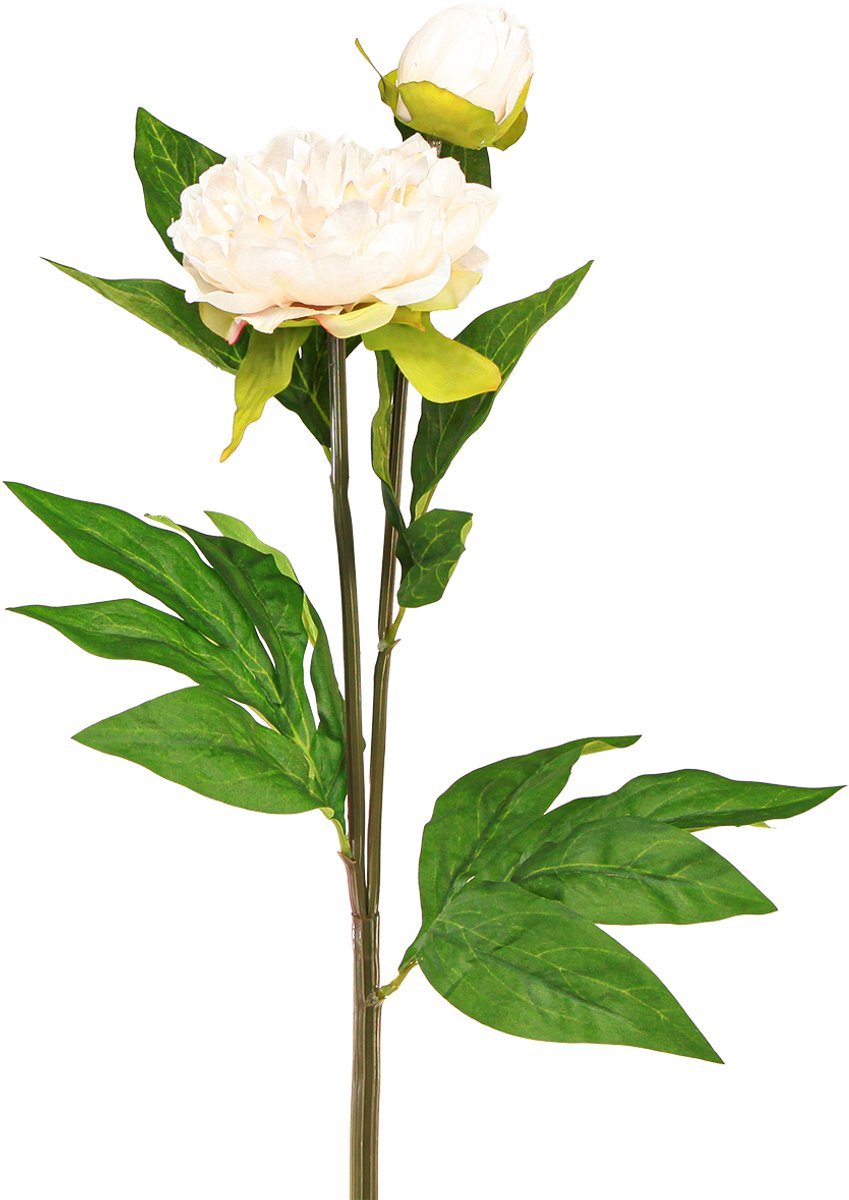 Viana Lange kunstpioenen kunstbloemen crème 70cm 3 st, 3 Stück Beige