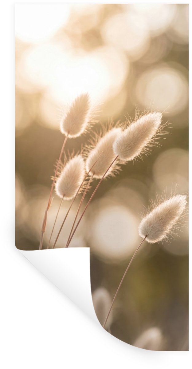 Muurstickers - Sticker Folie - Hazestaartgras - Wit - Zonlicht - 20x40 cm - Plakfolie - Mu