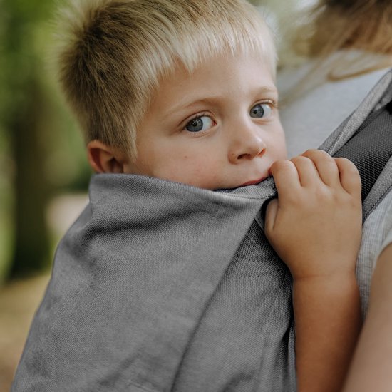 Fidella Onbuhimo - Back Carrier - Toddler - Chevron - grey