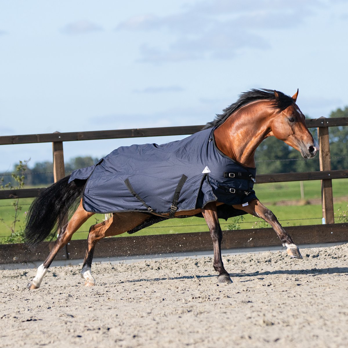 Master MASTER Winterdeken Navy 300g-115-165