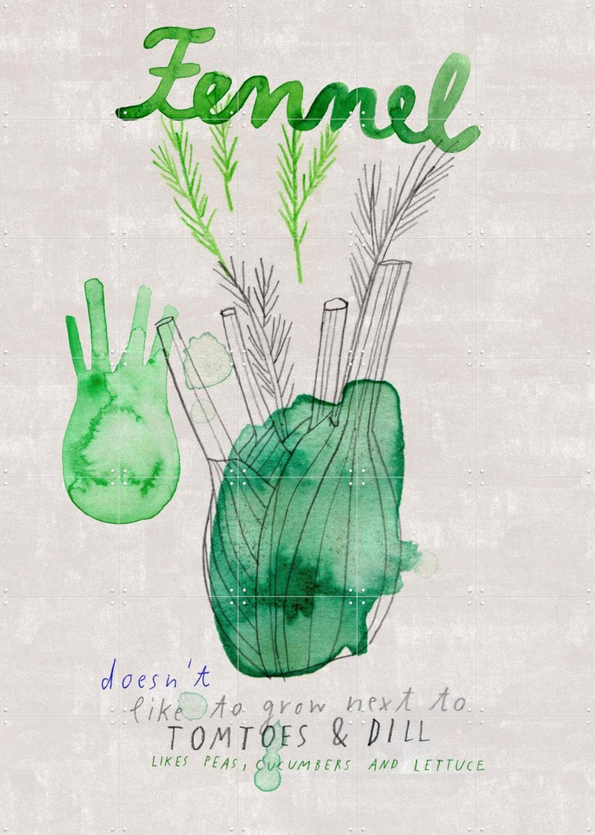 IXXI Fennel, Signorinah - 100 x 140 cm - Gratis ophangtool - Grote wanddecoratie en posters - Speels, Aquarel, Line art, Illustraties, Keuken