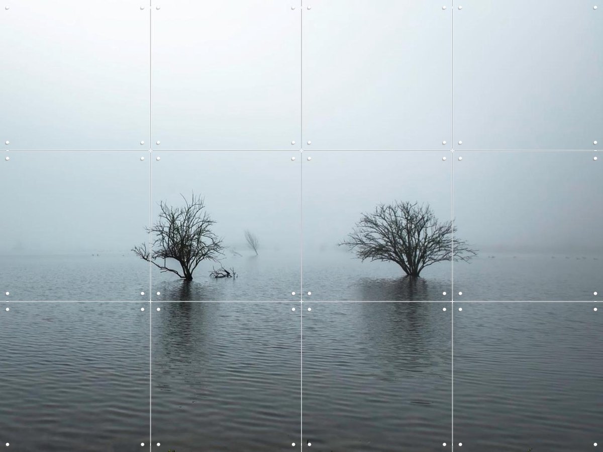 IXXI Whispering Tree Pair, Claire Droppert - 80 x 60 cm - Gratis ophangtool - Grote wanddecoratie en posters - Naturalisme, Realisme, Fotografie