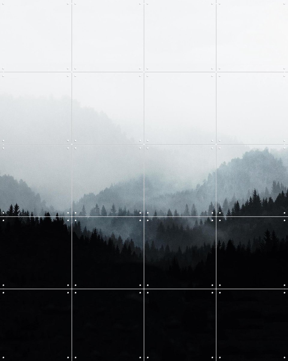 IXXI Woods 5Y, Mareike Böhmer - 80 x 100 cm - Gratis ophangtool - Grote wanddecoratie en posters - Fotografie, Minimalisme, Slaapkamer, Woonkamer