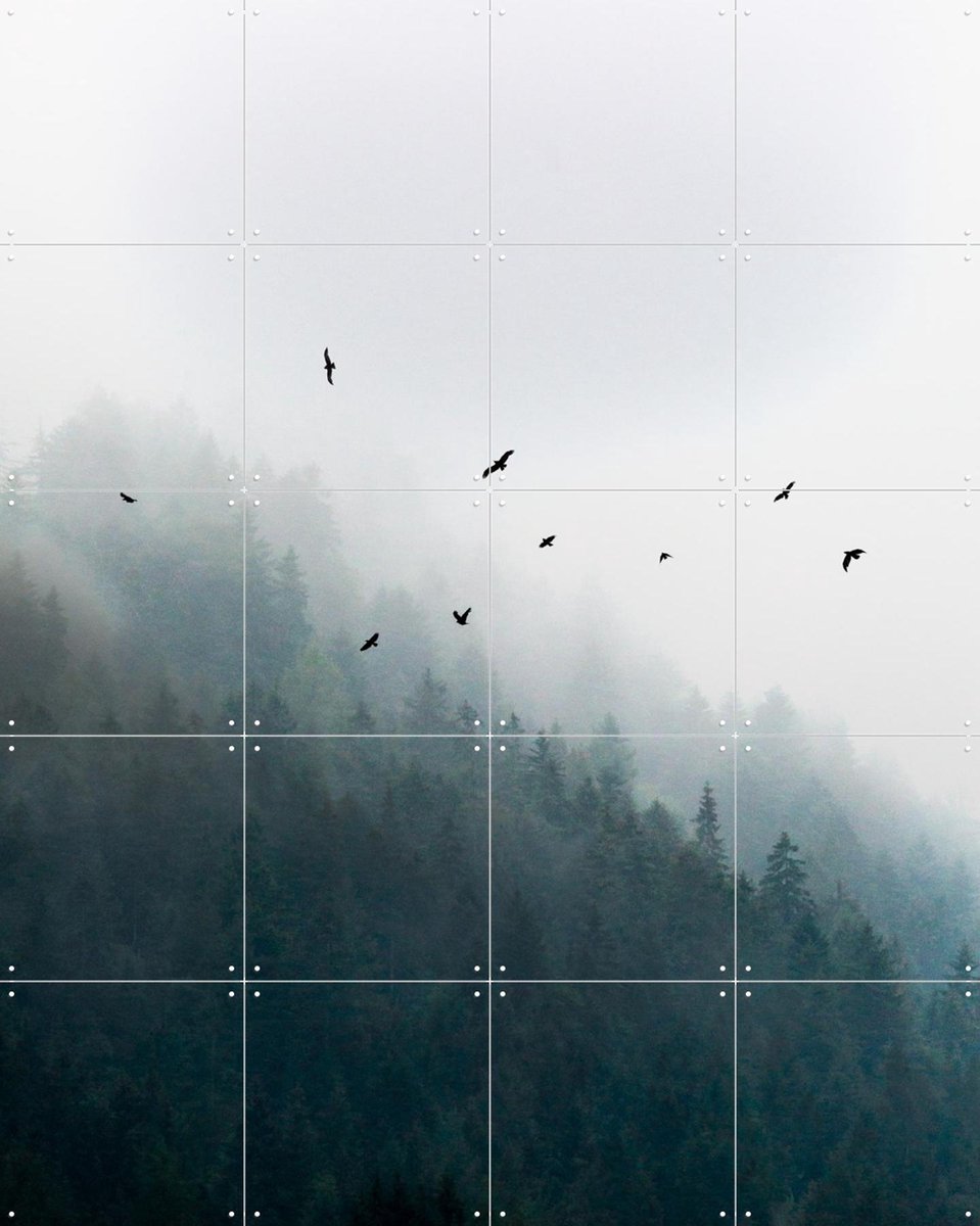 IXXI Foggy Morning 4, Mareike Böhmer - 80 x 100 cm - Gratis ophangtool - Grote wanddecoratie en posters - Minimalisme, Naturalisme, Fotografie