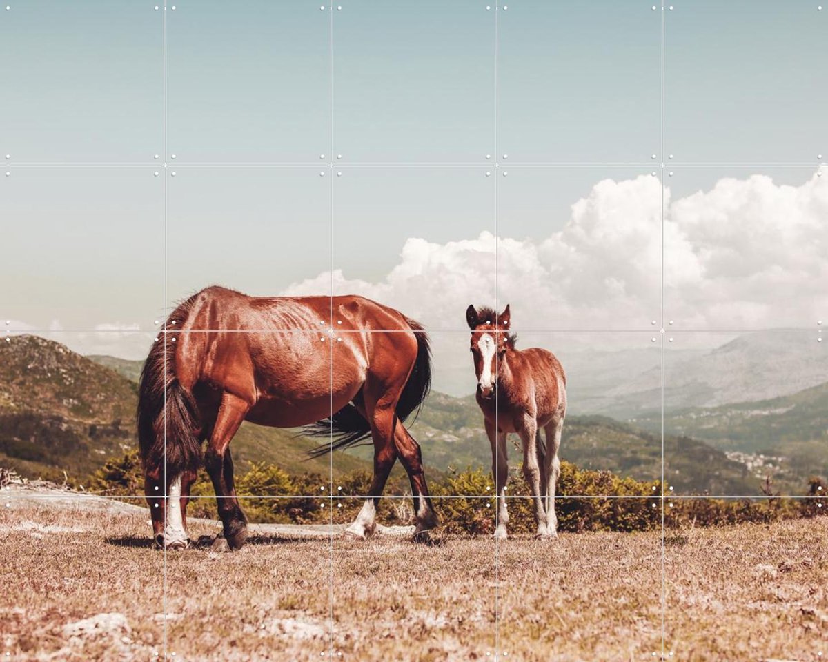 IXXI Wild Horses, Ingrid Beddoes - 100 x 80 cm - Gratis ophangtool - Grote wanddecoratie en posters - Fotografie, Naturalisme, Woonkamer, Dieren