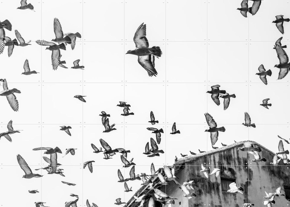 IXXI Birds in the Sky, Photolovers - 140 x 100 cm - Gratis ophangtool - Grote wanddecoratie en posters - Fotografie, Woonkamer, Slaapkamer, Natuur