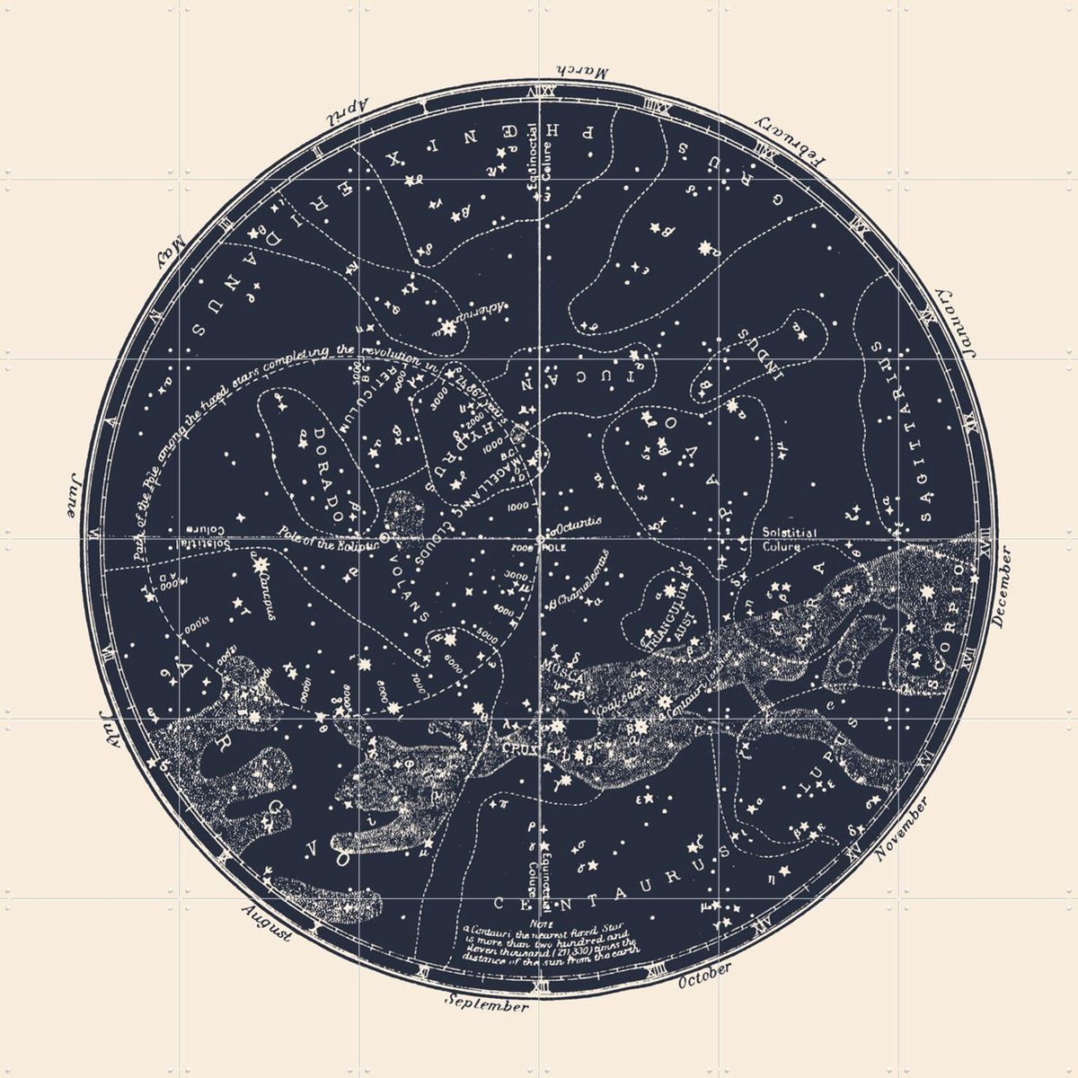 IXXI Southern Constellations, Aster Edition - 120 x 120 cm - Gratis ophangtool - Grote wanddecoratie en posters - Technische Tekening, Vintage