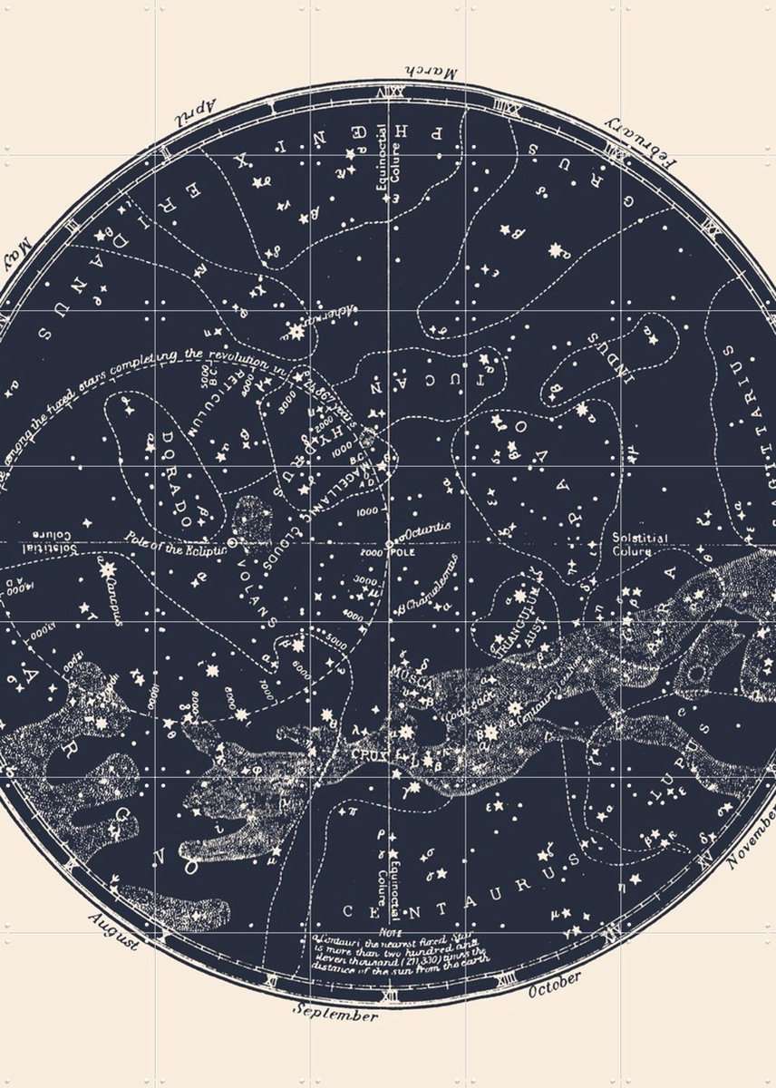 IXXI Southern Constellations, Aster Edition - 100 x 140 cm - Gratis ophangtool - Grote wanddecoratie en posters - Technische Tekening, Vintage