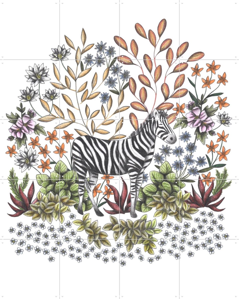 IXXI Safari Zebra, Cecilia Battaini - 80 x 100 cm - Gratis ophangtool - Grote wanddecoratie en posters - Kleurrijk, Illustraties, Fantasierijk