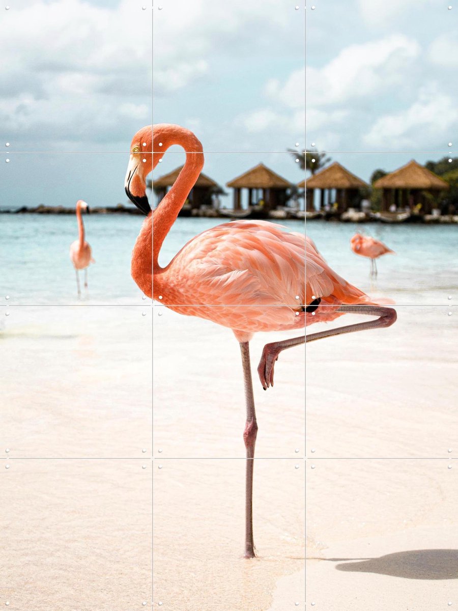 IXXI Flamingo Beach, Henrike Schenk - 60 x 80 cm - Gratis ophangtool - Grote wanddecoratie en posters - Fotografie, Kleurrijk, Badkamer, Woonkamer