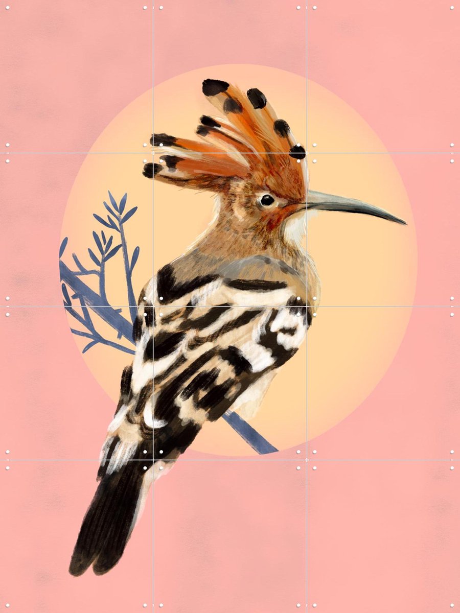 IXXI Hoopoe, Esther Sepers - 60 x 80 cm - Gratis ophangtool - Grote wanddecoratie en posters - Kleurrijk, Speels, Digitale Kunst, Illustraties