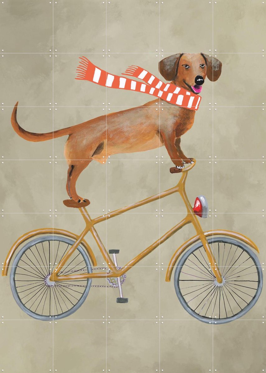 IXXI Dachshund on bicycle with scarf, Coco de Paris - 100 x 140 cm - Gratis ophangtool - Grote wanddecoratie en posters - Speels, Kleurrijk