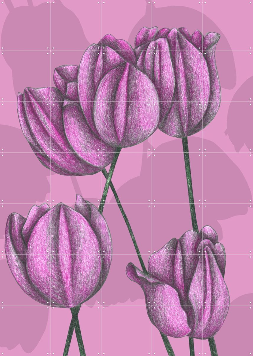 IXXI Purple Tulips, Cecilia Battaini - 100 x 140 cm - Gratis ophangtool - Grote wanddecoratie en posters - Naturalisme, Tekeningen, Illustraties