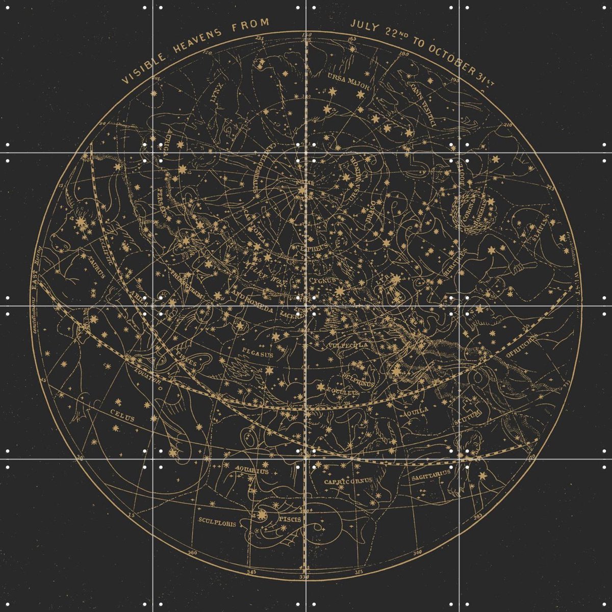 IXXI Visible Heavens Dark, Aster Edition - 80 x 80 cm - Gratis ophangtool - Grote wanddecoratie en posters - Illustraties, Technische Tekening