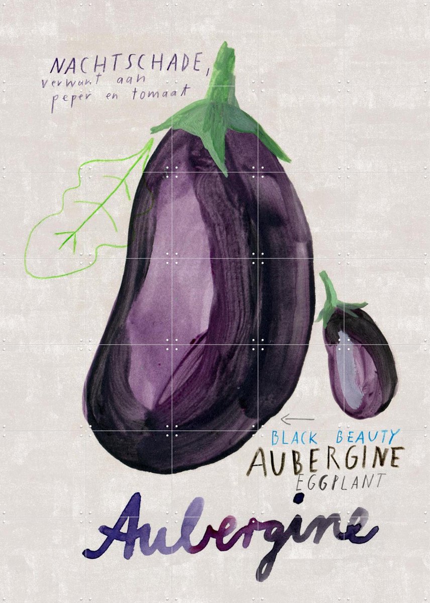 IXXI Aubergine NL, Signorinah - 100 x 140 cm - Gratis ophangtool - Grote wanddecoratie en posters - Illustraties, Speels, Aquarel, Woonkamer, Keuken